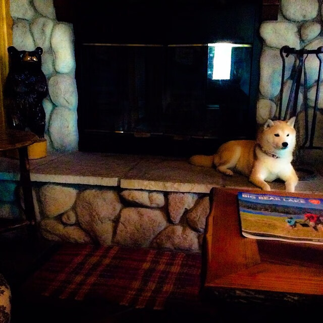 九游体育官网首页-体育社团活动对学生社会能力培养影响路径研究，对体育社团的认识