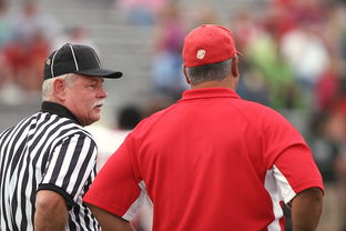 九游娱乐(jiuyou)官网-意甲裁判语义分析辅助判罚准确性的应用探讨，意甲 裁判